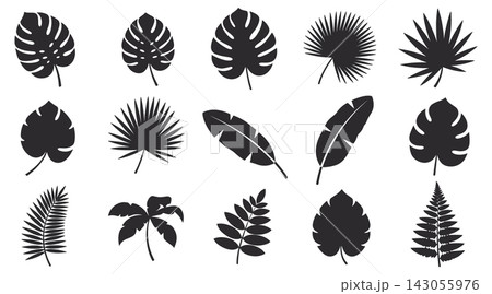 Collection of black tropical leaf silhouettes isolated on a white background 143055976