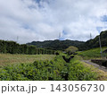 のどかな風景「日本の原風景と高圧送電鉄塔」 143056730