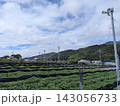 心が落ち着く「茶畑と青空、山脈、のどかな田舎の風景」 143056733