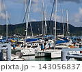 Wide marina crowded with moored sailboats and catamarans beneath partly cloudy blue sky 143056837