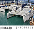 Wide marina crowded with moored sailboats and catamarans beneath partly cloudy blue sky 143056843