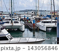 Wide marina crowded with moored sailboats and catamarans beneath partly cloudy blue sky 143056846