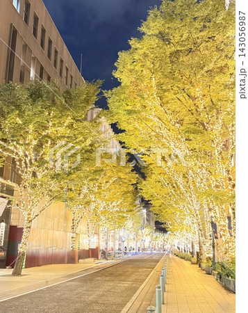 夜の街路樹ライトアップ 夜の街路樹ライトアップ 143056987