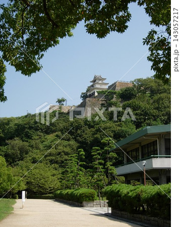 9月、香川県、丸亀城の石垣と天守閣 9月、香川県、丸亀城の石垣と天守閣 143057217