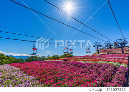 茶臼山高原サンパチェンスまつり 愛知県最高峰でのリフトと花畑 【愛知県】 茶臼山高原サンパチェンスまつり 愛知県最高峰でのリフトと花畑 【愛知県】 143057362