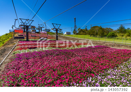 茶臼山高原サンパチェンスまつり　愛知県最高峰でのリフトと花畑　【愛知県】 143057392