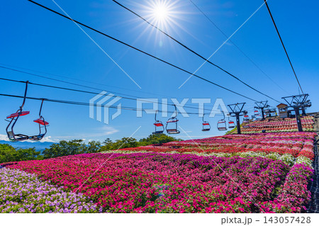 茶臼山高原 サンパチェンスまつり 愛知県最高峰でのペアリフトと花畑 【愛知県】 茶臼山高原 サンパチェンスまつり 愛知県最高峰でのペアリフトと花畑 【愛知県】 143057428