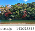 秋晴れの青空と川沿いに広がる紅葉の風景 143058238