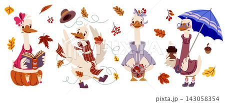 Cute cartoon goose, autumn geese vector art 143058354