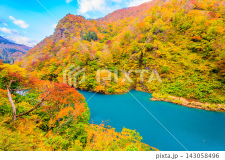 10月下旬早朝秋山郷で穴藤ダム付近から青く水をたたえる中津川と色とりどりの美しい紅葉山肌を捉えた風景 143058496