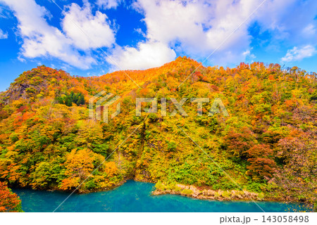 10月下旬早朝秋山郷で穴藤ダム付近から青く水をたたえる中津川と色とりどりの美しい紅葉山肌を捉えた風景 143058498
