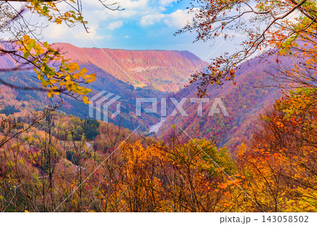 秋山郷の西側の林道展望箇所から全山紅葉に彩られた坂巻の大嵓と中津川の流れを遠望した美しい早朝風景 143058502