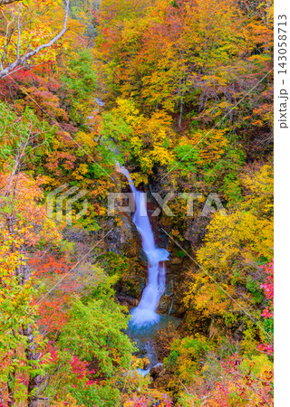 秋山郷の蛇淵の滝展望台から紅葉に囲まれた滝をスローシャッターを使い縦構図で捉えた美しい早朝風景 143058713