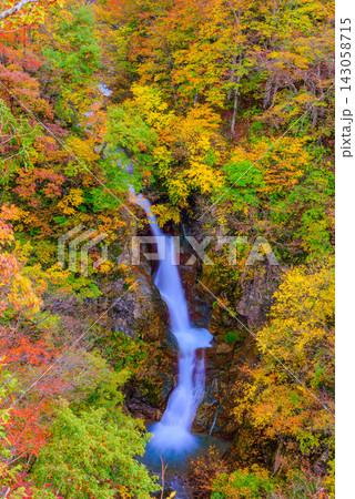 秋山郷の蛇淵の滝展望台から紅葉に囲まれた滝をスローシャッターを使い縦構図で捉えた美しい早朝風景 143058715