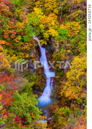秋山郷の蛇淵の滝展望台から紅葉に囲まれた滝をスローシャッターを使い縦構図で捉えた美しい早朝風景 秋山郷の蛇淵の滝展望台から紅葉に囲まれた滝をスローシャッターを使い縦構図で捉えた美しい早朝風景 143058716