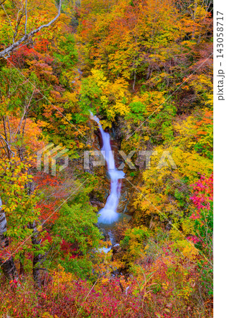 秋山郷の蛇淵の滝展望台から紅葉に囲まれた滝をスローシャッターを使い縦構図で捉えた美しい早朝風景 143058717