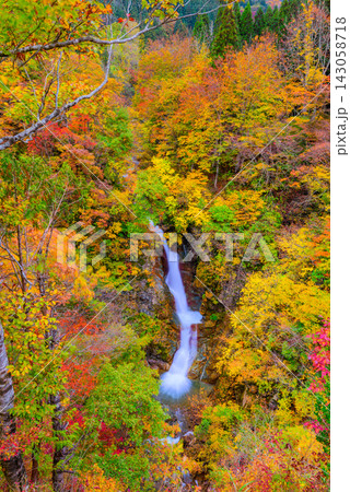 秋山郷の蛇淵の滝展望台から紅葉に囲まれた滝をスローシャッターを使い縦構図で捉えた美しい早朝風景 秋山郷の蛇淵の滝展望台から紅葉に囲まれた滝をスローシャッターを使い縦構図で捉えた美しい早朝風景 143058718
