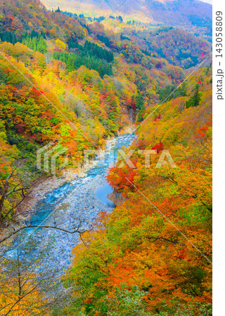 東秋山林道秋山郷ビューポイント3から中津川と色付いた紅葉の山肌を縦構図で俯瞰した美しい早朝風景 143058809