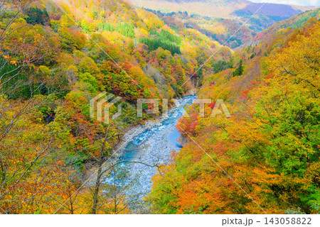 東秋山林道秋山郷ビューポイント3から眼下を流れる中津川と色付いた紅葉の山肌を捉えた美しい早朝風景 東秋山林道秋山郷ビューポイント3から眼下を流れる中津川と色付いた紅葉の山肌を捉えた美しい早朝風景 143058822