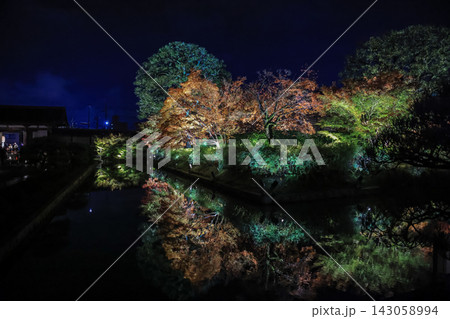 Nov 25 2025 Glowing Autumn Maples Reflecting in To ji Temple Pond Nov 25 2025 Glowing Autumn Maples Reflecting in To ji Temple Pond 143058994