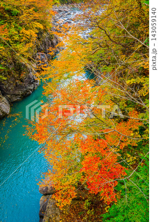秋山郷の猿飛橋から中津川の青く美しい流れと柱状節理の岩肌に生える紅葉の木々を縦構図で捉えた風景 143059140