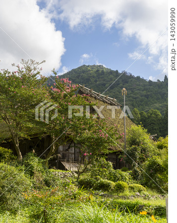 茅葺き屋根の古民家とサルスベリの花 茅葺き屋根の古民家とサルスベリの花 143059990
