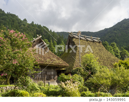 茅葺き屋根の古民家とサルスベリの花 茅葺き屋根の古民家とサルスベリの花 143059991