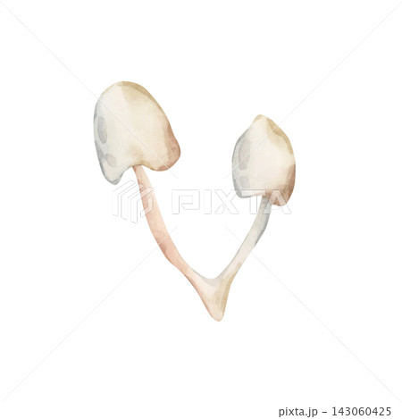 Cute Toadstool. Autumn forest poisonous mushrooms Watercolor hand drawn floral food illustration isolated on white background for cozy fall design home kitchen textile table cloth porcelain crockery Cute Toadstool. Autumn forest poisonous mushrooms Watercolor hand drawn floral food illustration isolated on white background for cozy fall design home kitchen textile table cloth porcelain crockery 143060425
