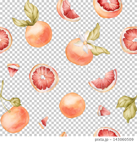 Grapefruit citrus fruit seamless pattern. Watercolor hand drawn floral food illustration isolated on white background for summer design home kitchen textile cute print cosmetic package crockery fabric Grapefruit citrus fruit seamless pattern. Watercolor hand drawn floral food illustration isolated on white background for summer design home kitchen textile cute print cosmetic package crockery fabric 143060509