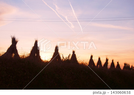 秋の夕暮れ空の下に立ち並ぶ稲わら立て 143060638