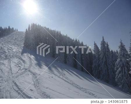 Snowy landscape at Hornle Mountain, alpine foothills in Bavaria, Germany 143061875