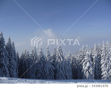 Snowy landscape at Hornle Mountain, alpine foothills in Bavaria, Germany 143061876