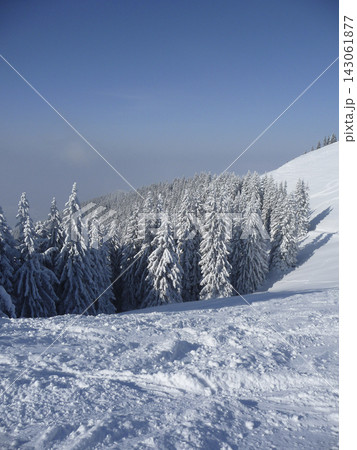 Snowy landscape at Hornle Mountain, alpine foothills in Bavaria, Germany 143061877