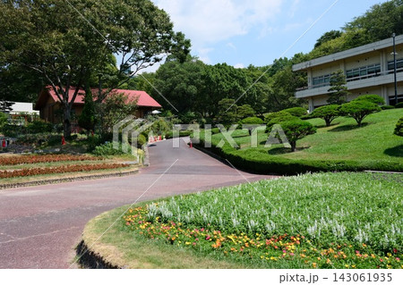 広島市植物公園大花壇の景色 広島市植物公園大花壇の景色 143061935