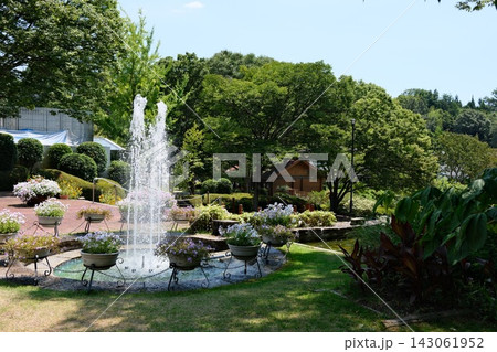 噴水のある植物公園の景色 噴水のある植物公園の景色 143061952