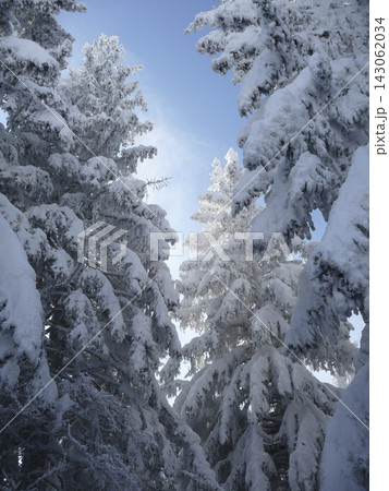 Snowy landscape at Hornle Mountain, alpine foothills in Bavaria, Germany 143062034