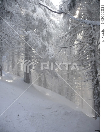 Snowy landscape at Hornle Mountain, alpine foothills in Bavaria, Germany 143062035