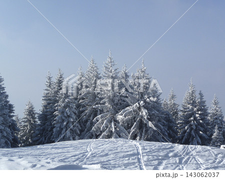 Snowy landscape at Hornle Mountain, alpine foothills in Bavaria, Germany 143062037