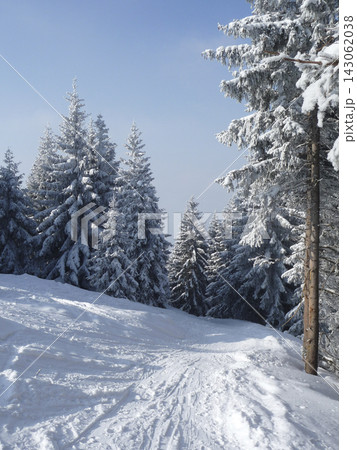 Snowy landscape at Hornle Mountain, alpine foothills in Bavaria, Germany 143062038