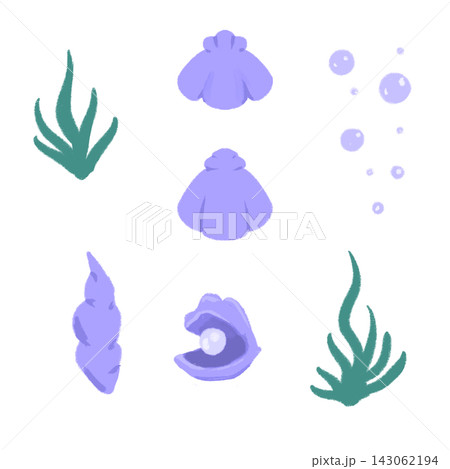紫の貝殻のイラスト 紫の貝殻のイラスト 143062194