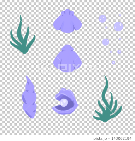 紫の貝殻のイラスト 紫の貝殻のイラスト 143062194