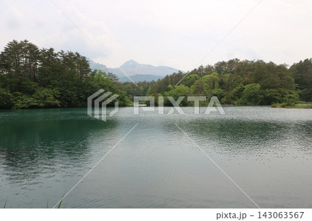 福島県の裏磐梯の五色沼 福島県の裏磐梯の五色沼 143063567