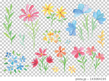 水彩手繪各種花卉素材組 2 水彩手繪各種花卉素材組 2 143064195
