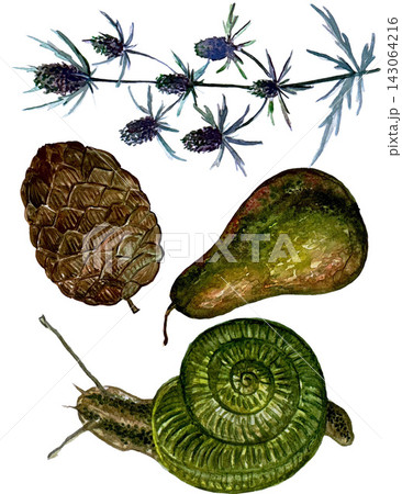 Autumn Snail Set #2 Autumn Snail Set #2 143064216