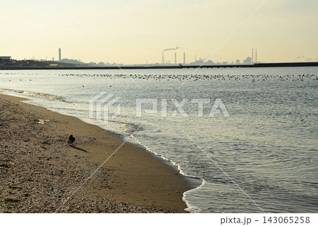 稲毛海浜公園 稲毛海浜公園 143065258