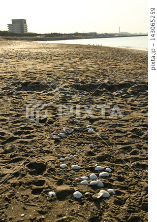 稲毛海浜公園 稲毛海浜公園 143065259