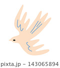 Light flying dove illustration isolated on white background. Bird icon peace symbol. 143065894