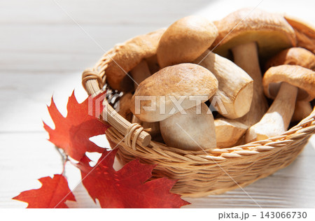 Fresh porcini mushrooms in basket with autumn leaves Fresh porcini mushrooms in basket with autumn leaves 143066730