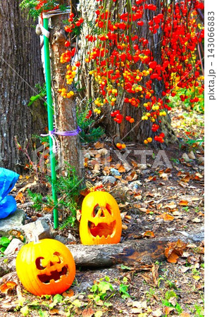 森の中に並ぶジャック・オー・ランタンと秋の木の実（屋外ハロウィンの縦構図イメージ） 143066883