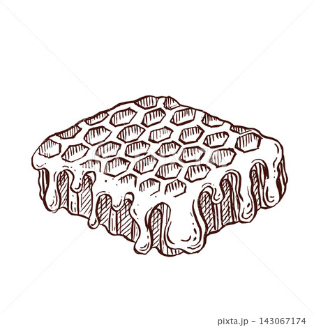 Honeycomb piece covered with dripping honey, hand drawn pen, ink vector illustration for artisan honey packaging, apiary labels, beekeeper branding, organic food brand identity, farm market products Honeycomb piece covered with dripping honey, hand drawn pen, ink vector illustration for artisan honey packaging, apiary labels, beekeeper branding, organic food brand identity, farm market products 143067174
